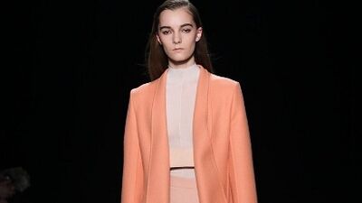 2015 – 2016 Sonbahar / Kış Narciso Rodriguez