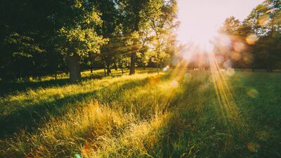 Bugün güzel bir gün olacak