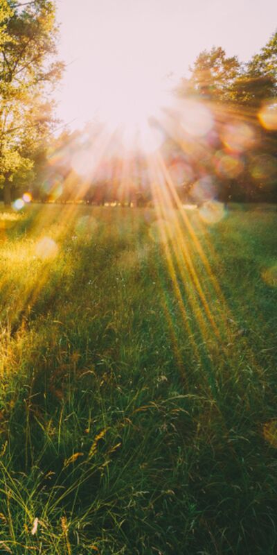 Bugün güzel bir gün olacak