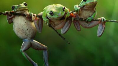 Dünya Fotoğraf Ödülleri'nden en iyi 35 kare...