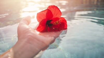 Sandığınızdan daha iyisiniz!