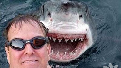 Selfie'den vazgeçince bunlar olacak!