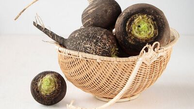 Siyah turpun hayati faydaları