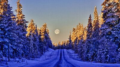 Lapland'ın bembeyaz yollarında...