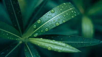 Eğer yeniden başlayabilseydim yaşama...