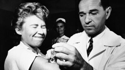 Domuz gribi nasıl mevsimsel oldu?