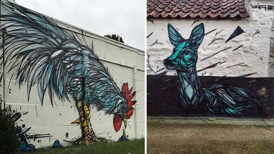 Geometri problemlerini artık hayvanlar çözecek!