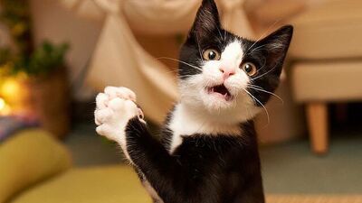 &quot;Yok artık!&quot; dedirten gerçekler