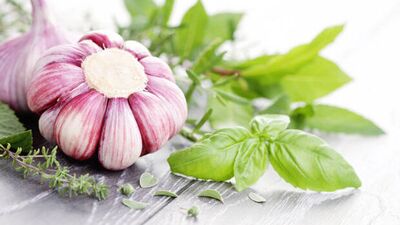 Bağışıklık sisteminizi taze sarımsak güçlendirir!