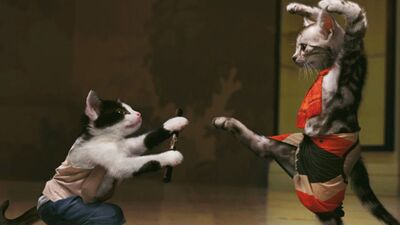 Kedi kızdırmaya gelmez!