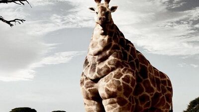 Selülitsavar hareketler