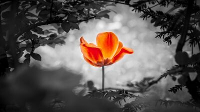 Hayatınızı düzene sokmanın 8 yolu