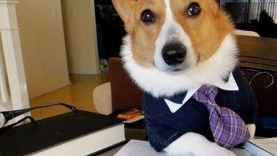 Çok kitap okuyanlar işte bu yüzden daha başarılı!