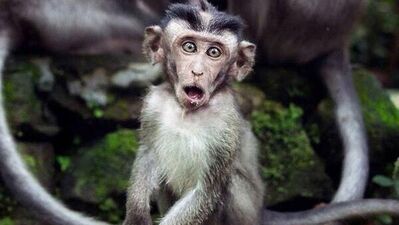 Yanlış bildiğimiz 10 gerçek!