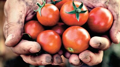 10 soruda organik tarım