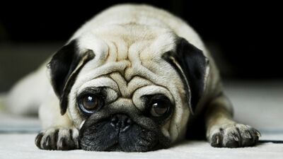 Eski sevgili nasıl unutulur?