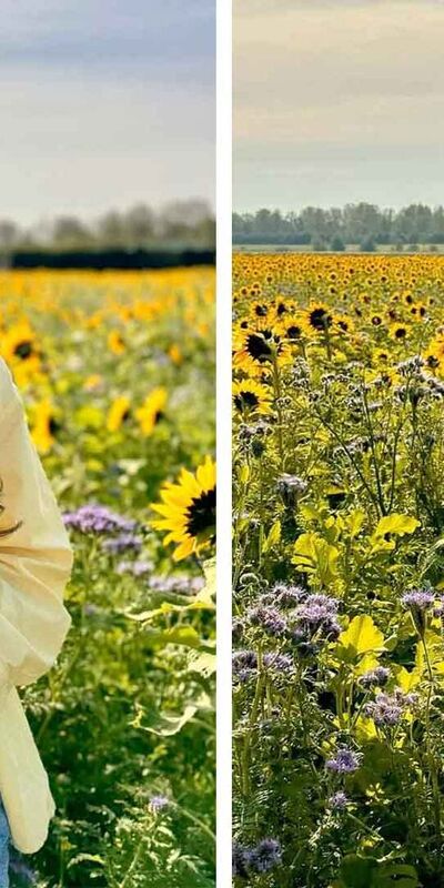 Ünlülerin hamile halleri