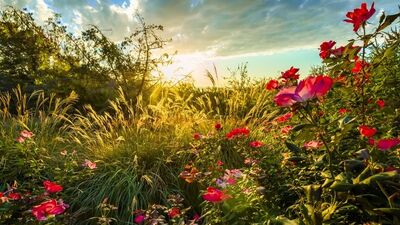 Hıdırellez'de dilekler nasıl gerçek olur?