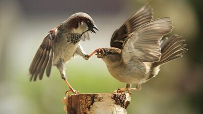 Bugün çeneniz düşecek!