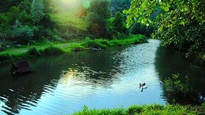 Yakın kaçış rotası: Yuvacık