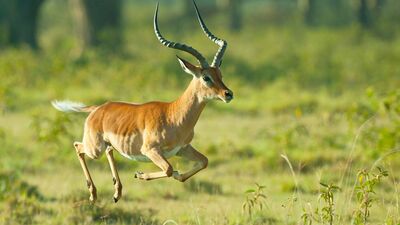 Enerji patlamasına hazır mısınız?