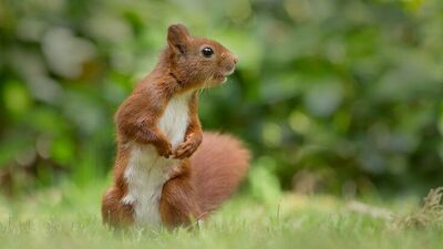 Bay ve bayan meraklılar!