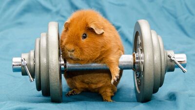 Zayıflayacağım derken sakatlanmayın!