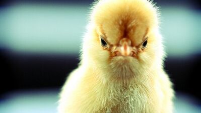 Bugün biraz gerilebilirsiniz!