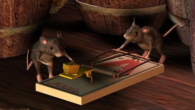 Yaratıcı olabilirsiniz!