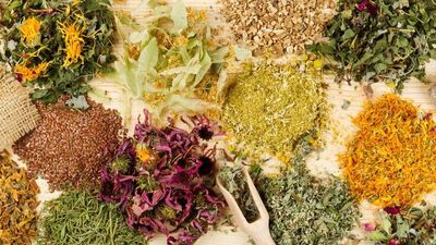 Kilo verdiren bitki çayları