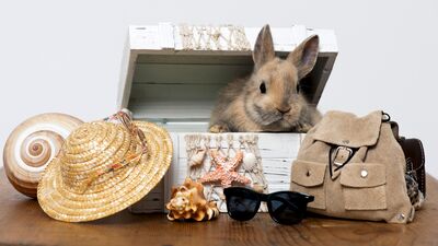 Yalnız seyahat etmenin dayanılmaz hafifliği