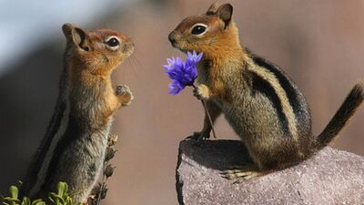 Kısmetleriniz çifter çifter olacak!