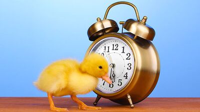 Önemli işlerinizi erteleyin!