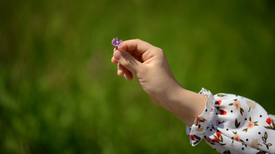 İyilik yap, iyilik bul