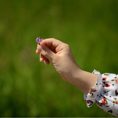 İyilik yap, iyilik bul