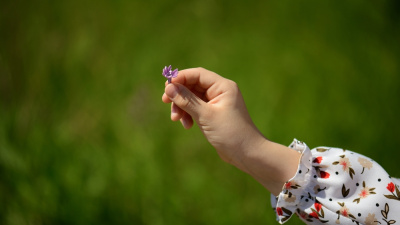 İyilik yap, iyilik bul