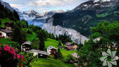 Hadi gel köyümüze geri dönelim...
