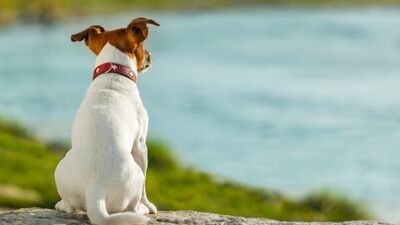 Bugün biraz sakin olun...