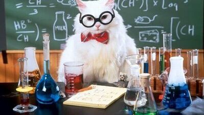 Çözüm üretmeye ihtiyacım var!