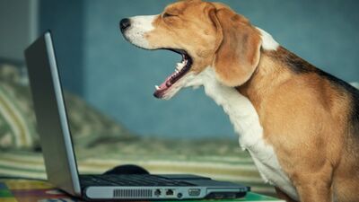 Bugün başımıza neler gelecek?