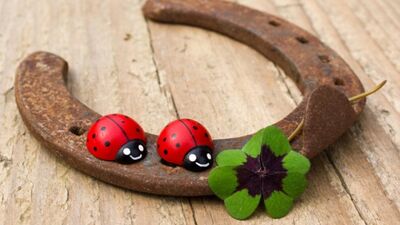 Şanslı bir hafta olacak!