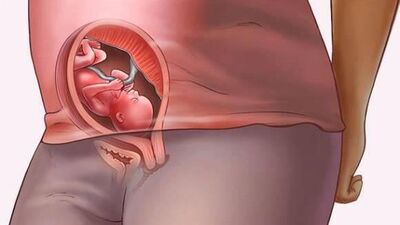 Bir gebenin 40 haftası