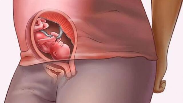 Bir gebenin 40 haftası