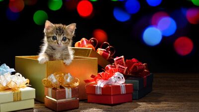 Sürprizler bizi bekliyor...