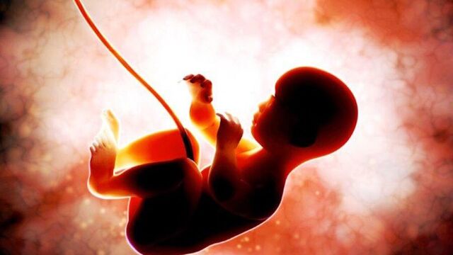 Göbek kordonu neden geç kesilmeli?