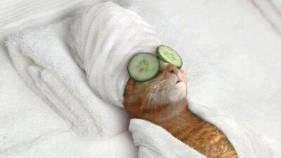 Artık rahat bir nefes alma vakti!