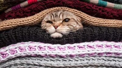 Sürekli üşüyor musunuz?