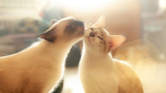 Gerçekten aşık olduğunuza dair 9 işaret