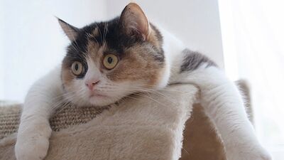 Geleceğinizi planlamak için en uygun gün bugün!