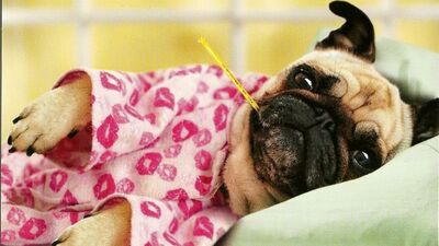 Bugün vücudumuz hassas olabilir